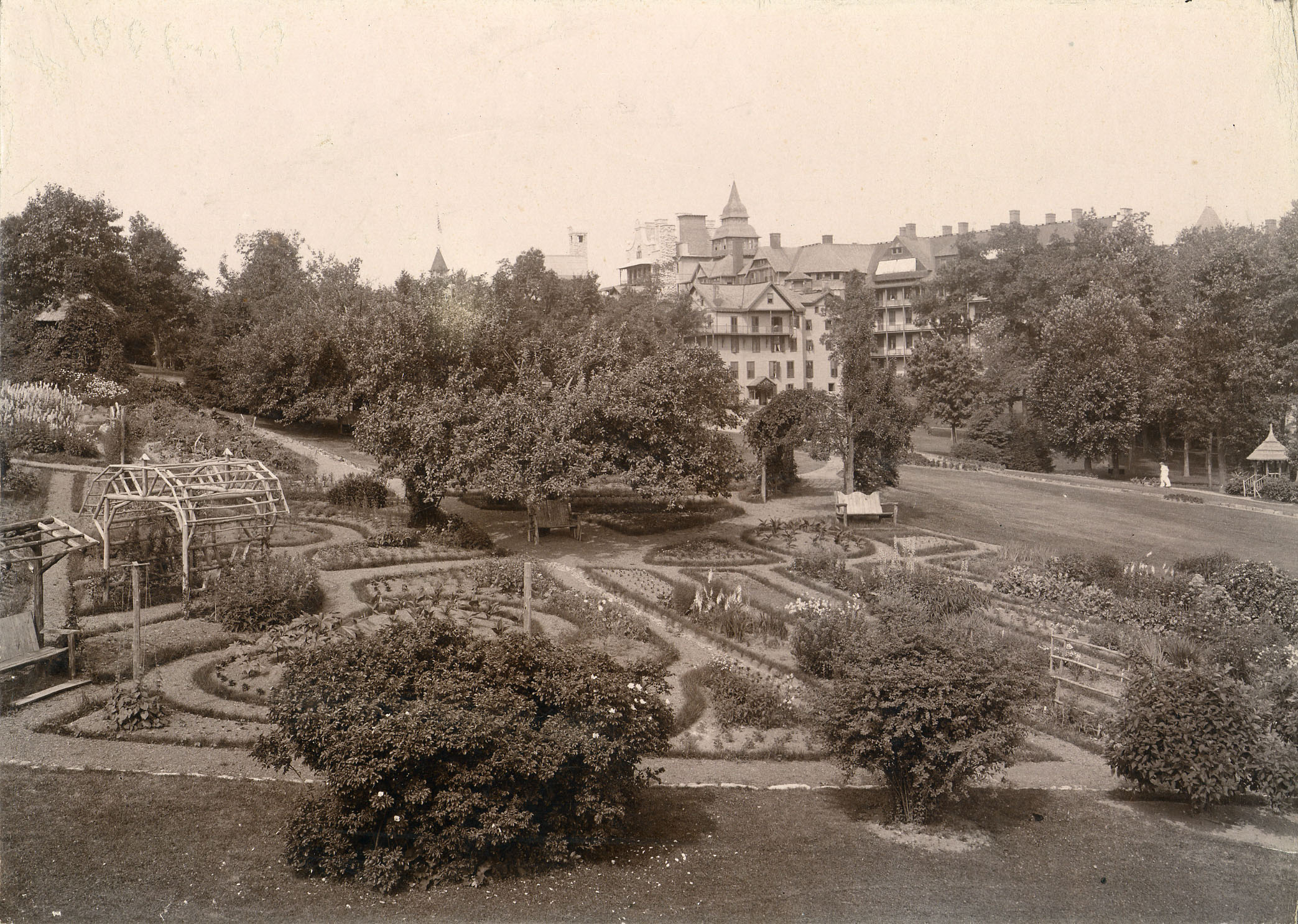 a garden with trees and buildings in the background