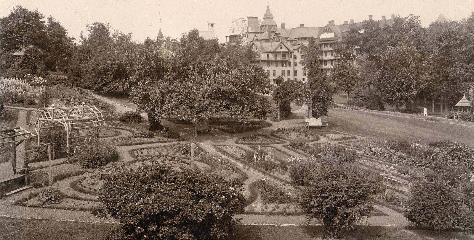 a garden with trees and a building in the background