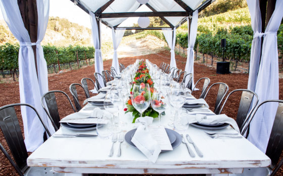 a long table set for a party