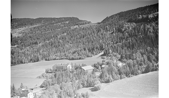 a house in the middle of a forest
