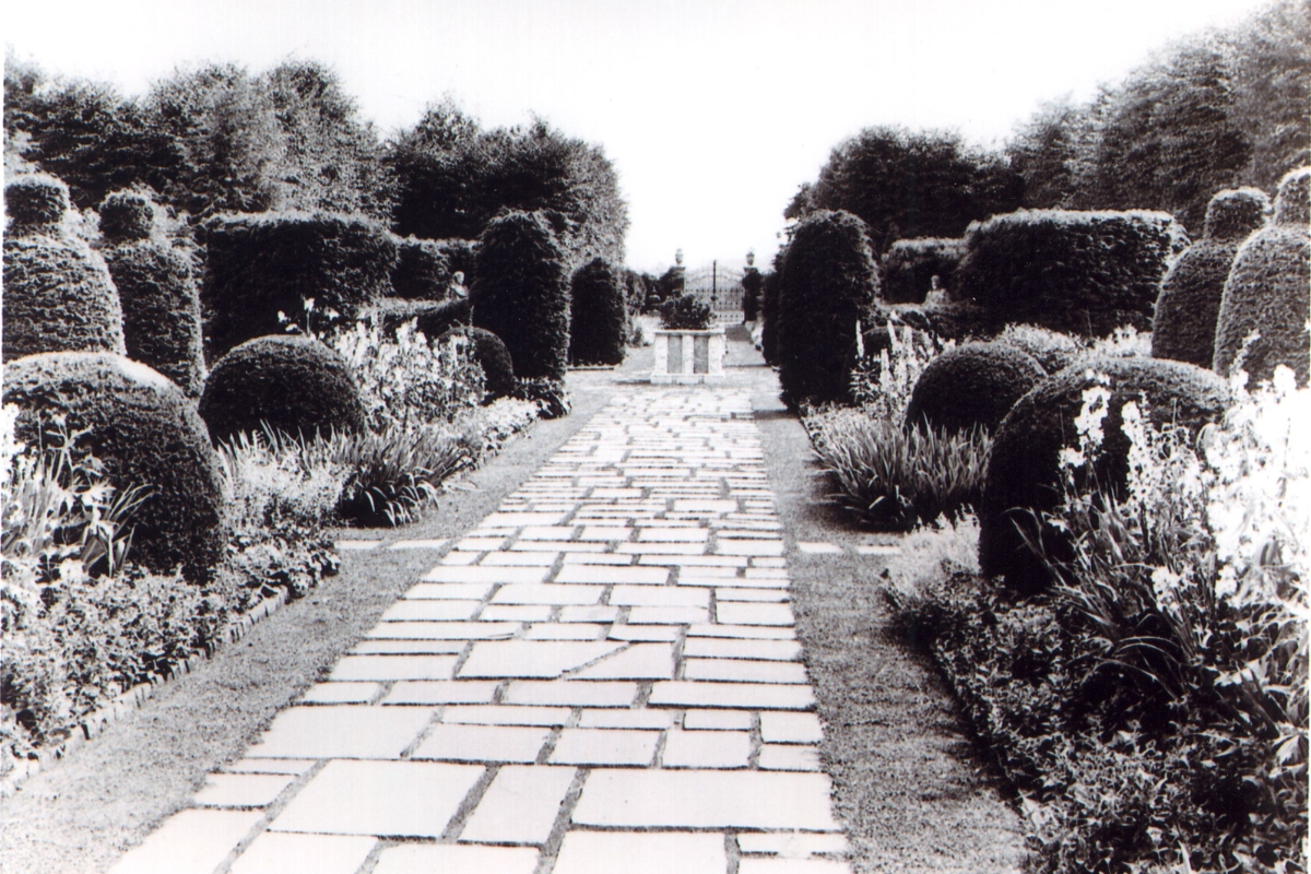 a stone path with bushes and bushes