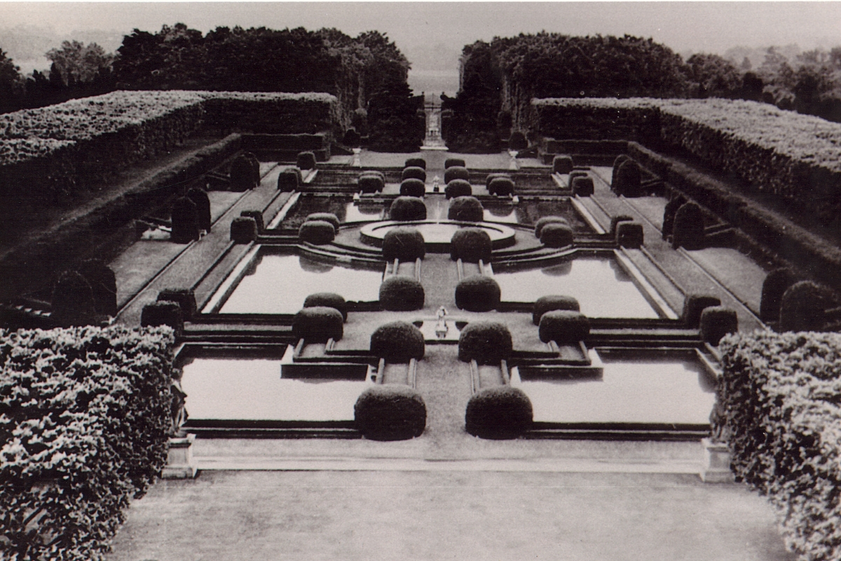 a garden with many bushes