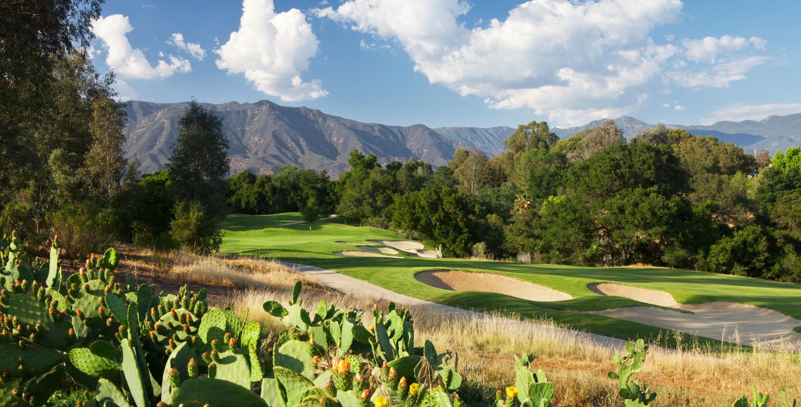 a golf course with cactuses and mountains in the background