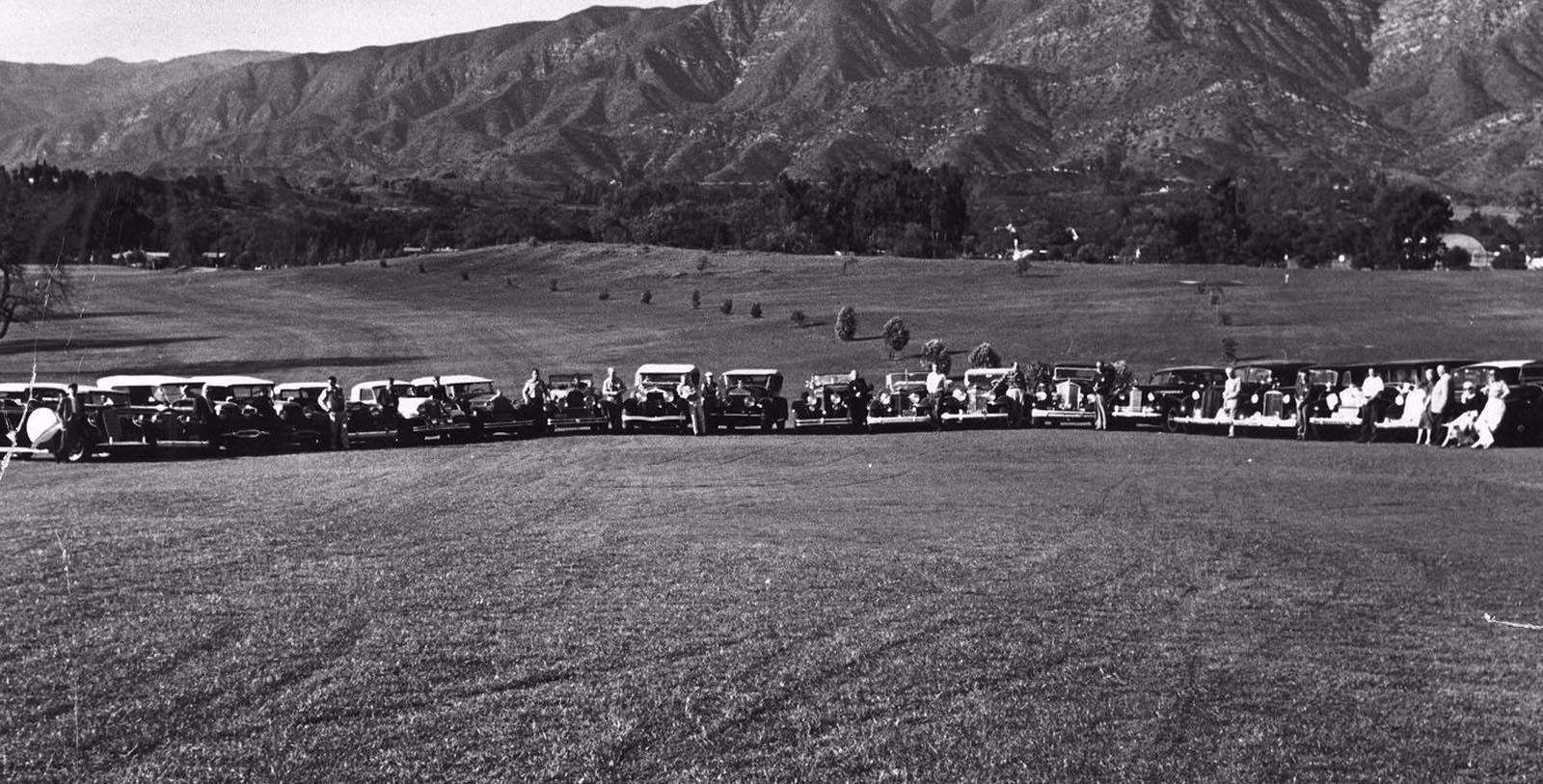a group of cars lined up in a field