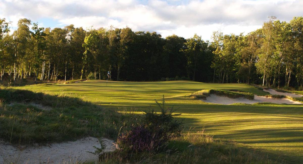 a golf course with trees in the background