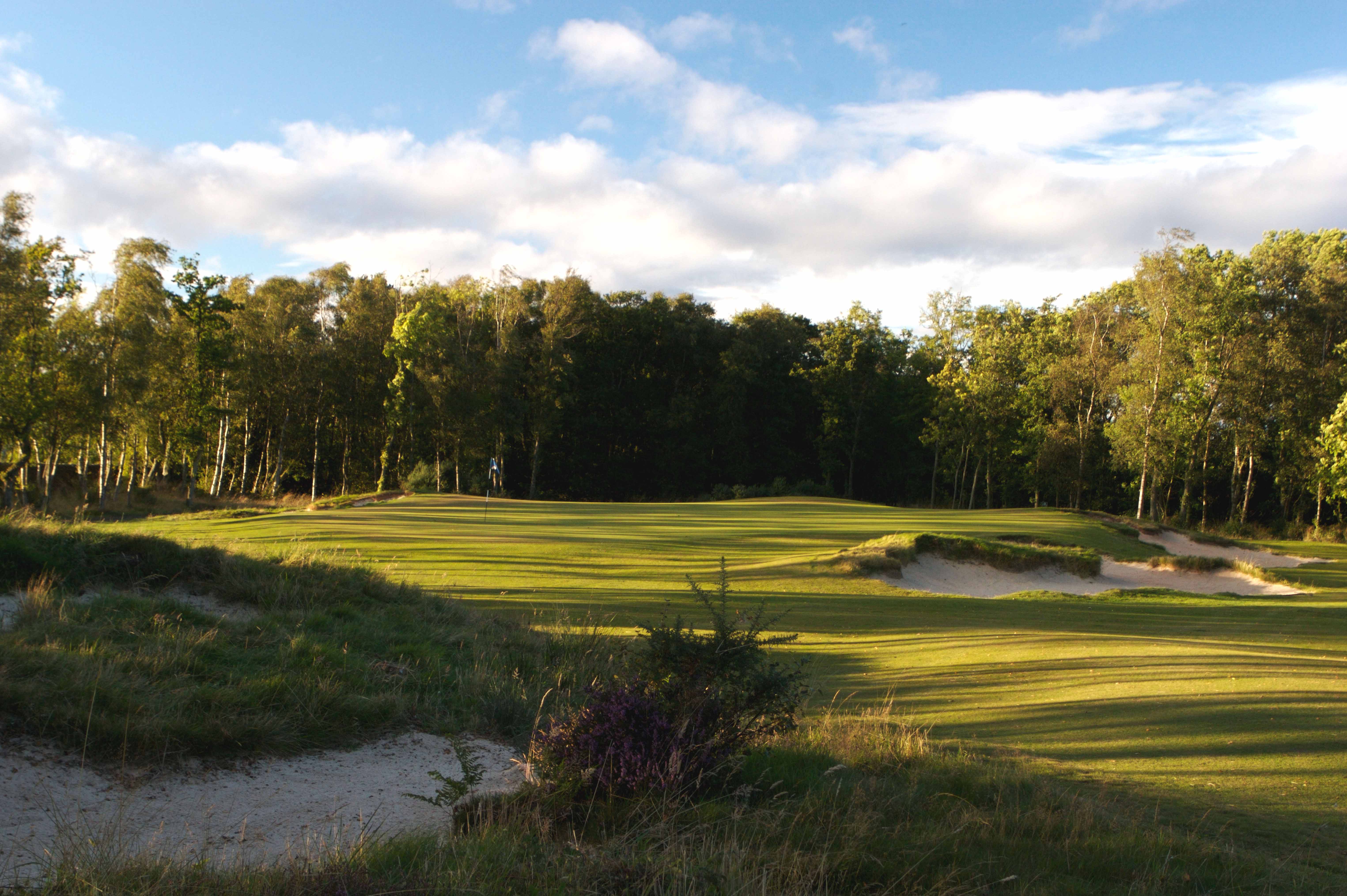 a golf course with trees in the background