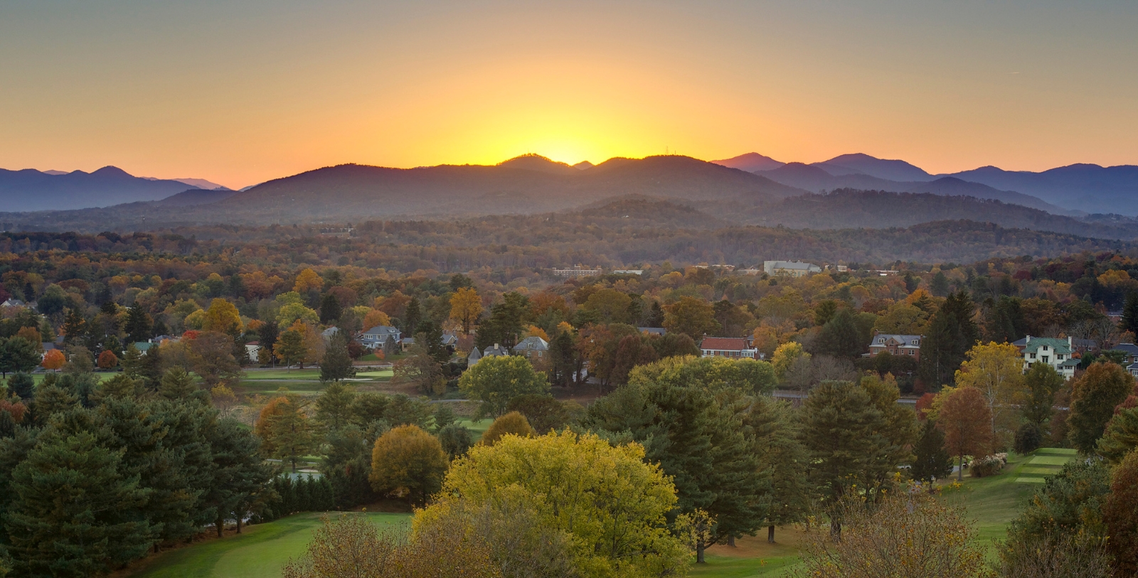 a landscape with trees and mountains in the background