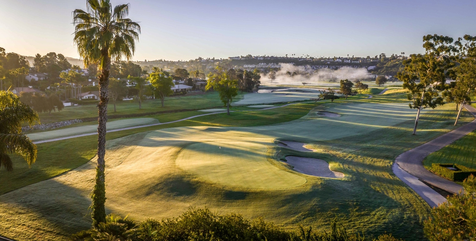 a golf course with a few trees and a foggy area