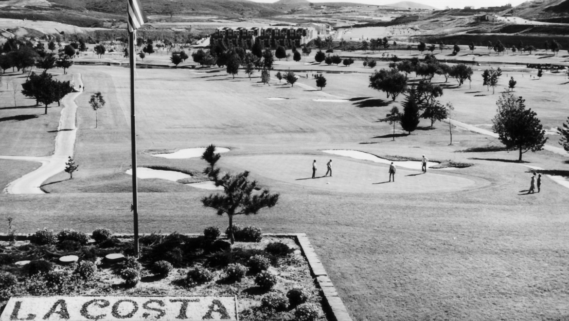 a group of people playing golf