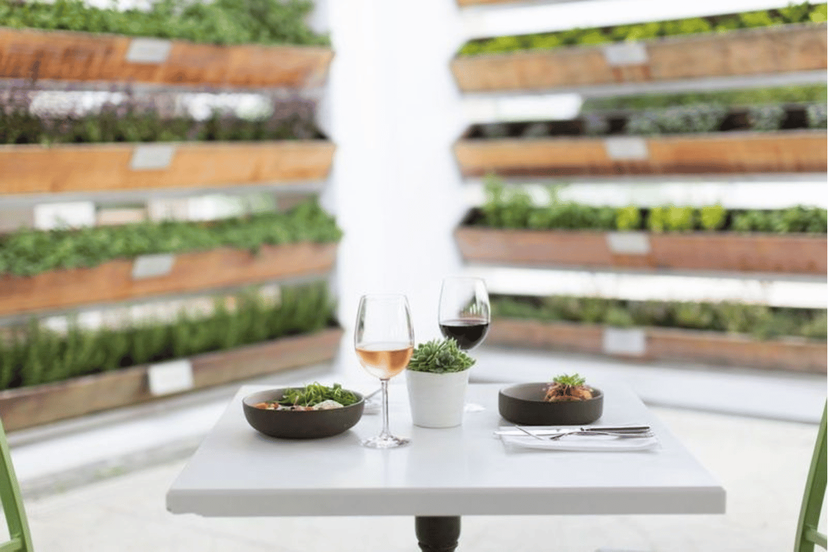 a table with food and wine glasses on it
