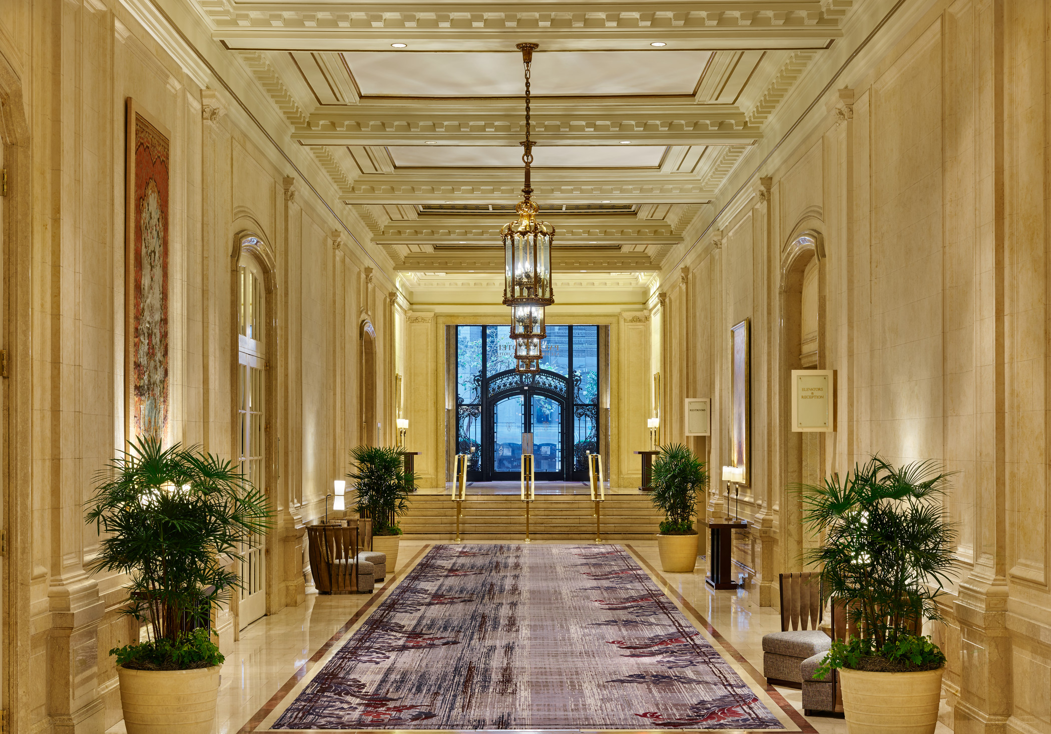 a hallway with a rug and plants