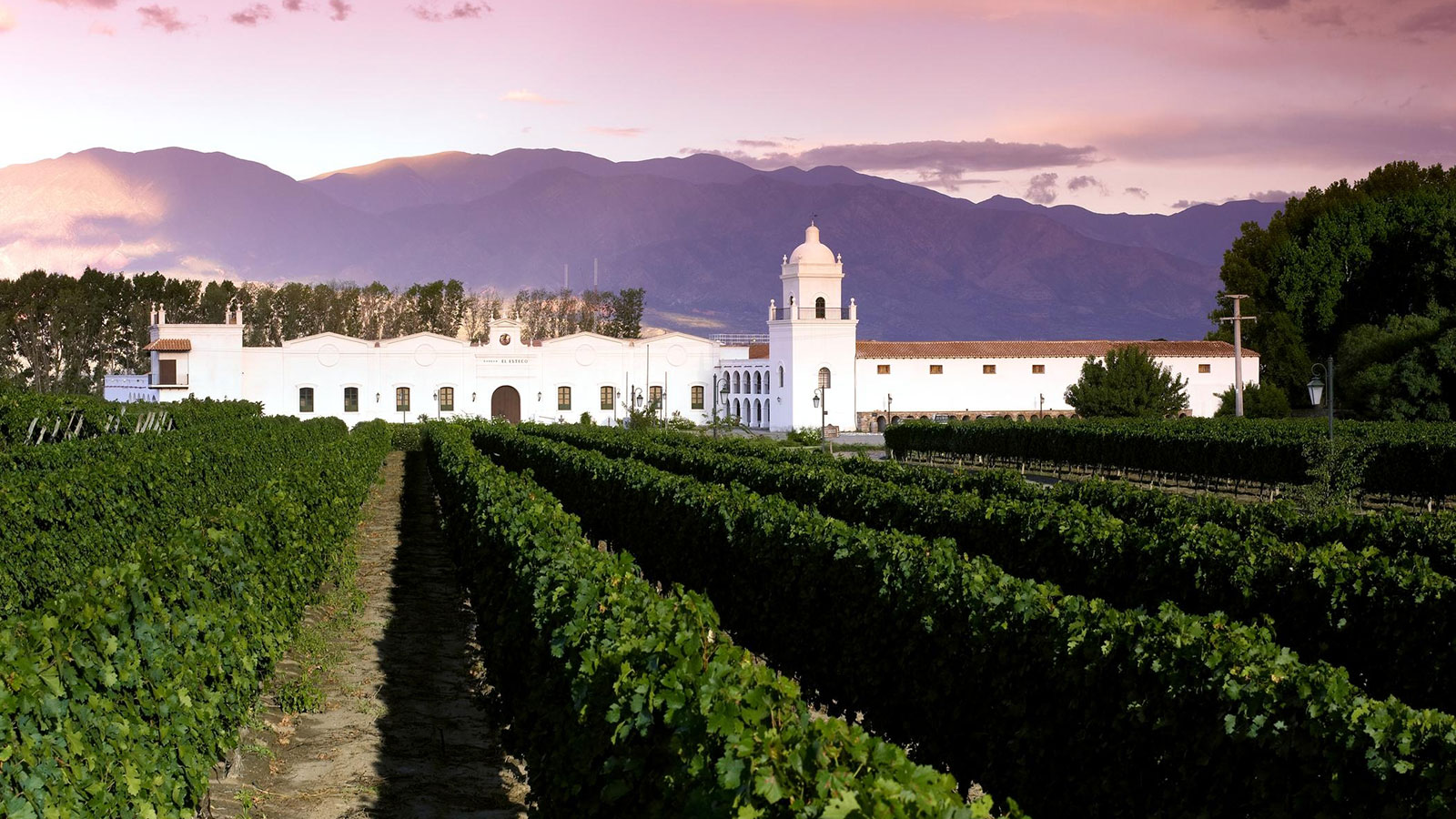 a white building with a white tower and a vineyard