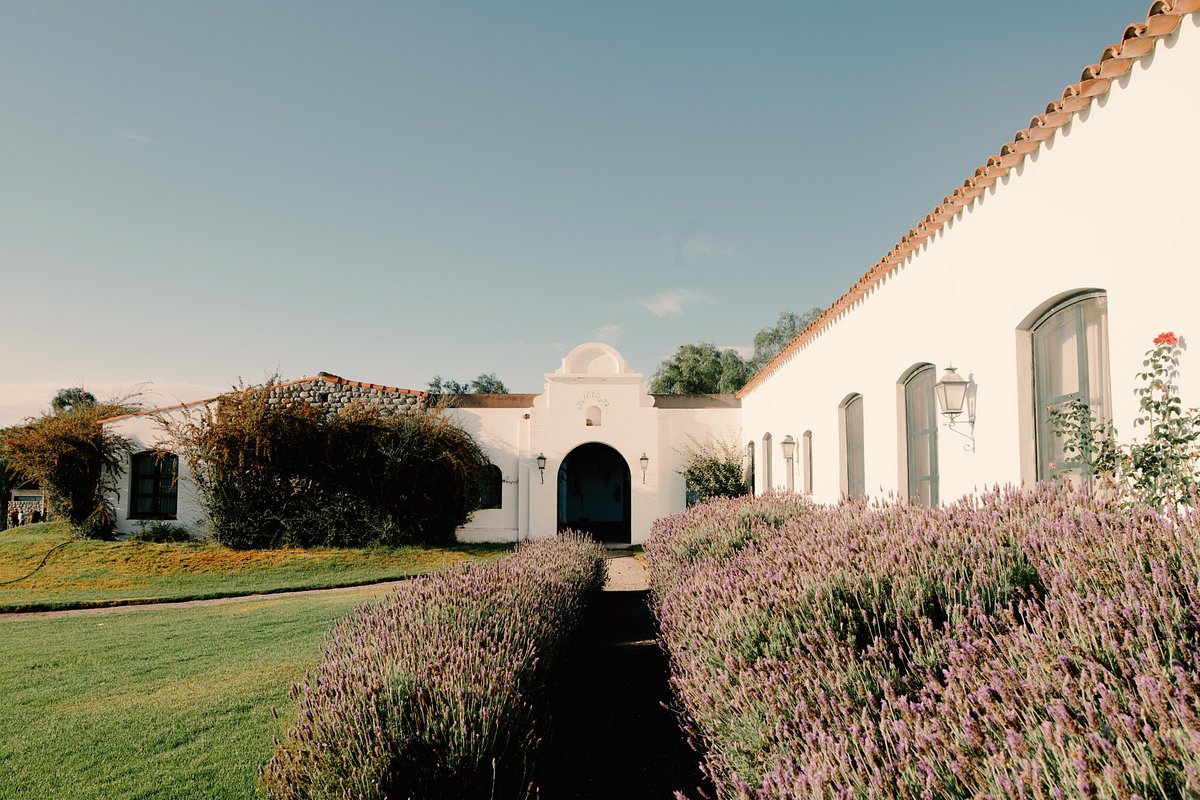 a white building with a path leading to a garden