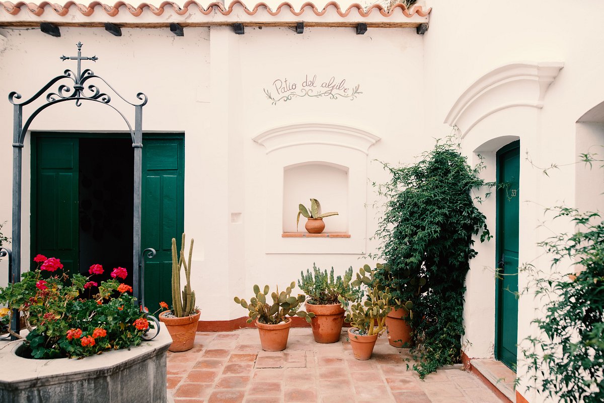a white building with potted plants