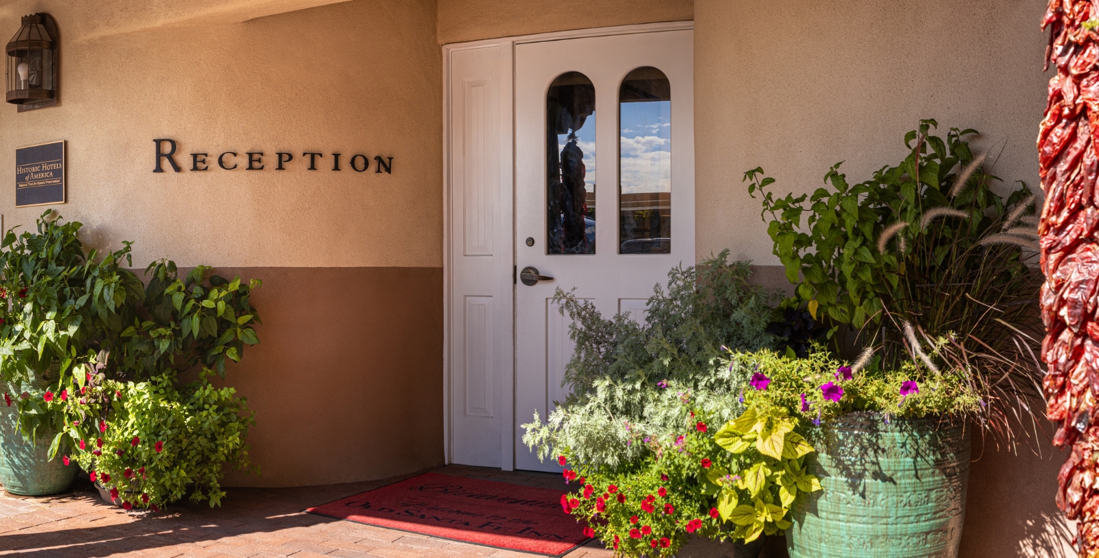 a white door with arched windows and a potted plant