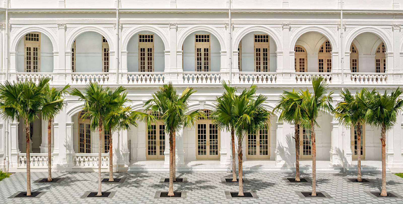 a row of palm trees in front of a white building