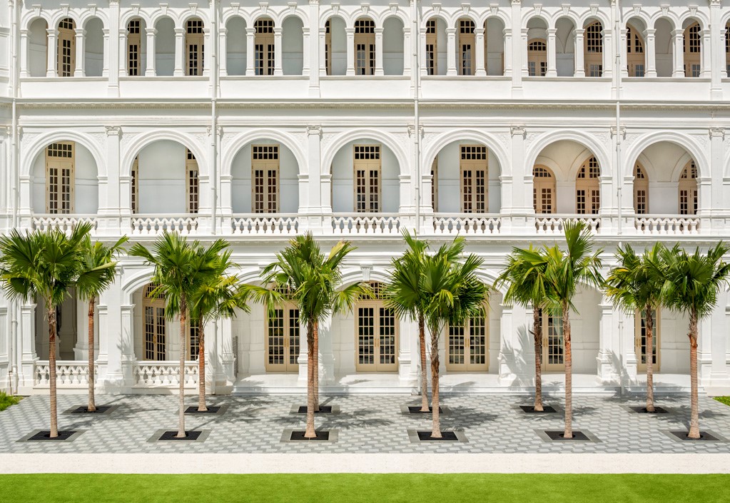 a white building with palm trees