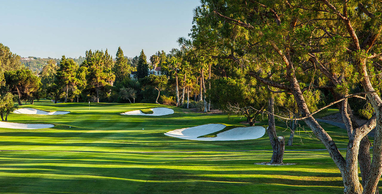 a golf course with sand bunkers