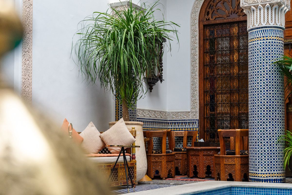 a room with a pool and a couch and a plant