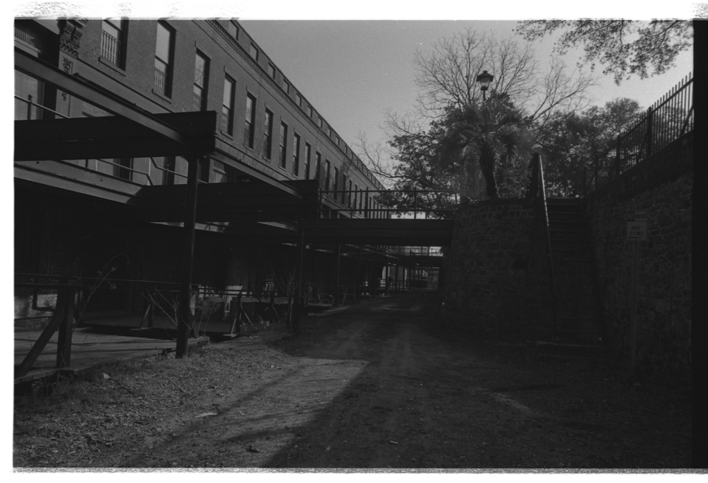 a walkway between buildings with trees