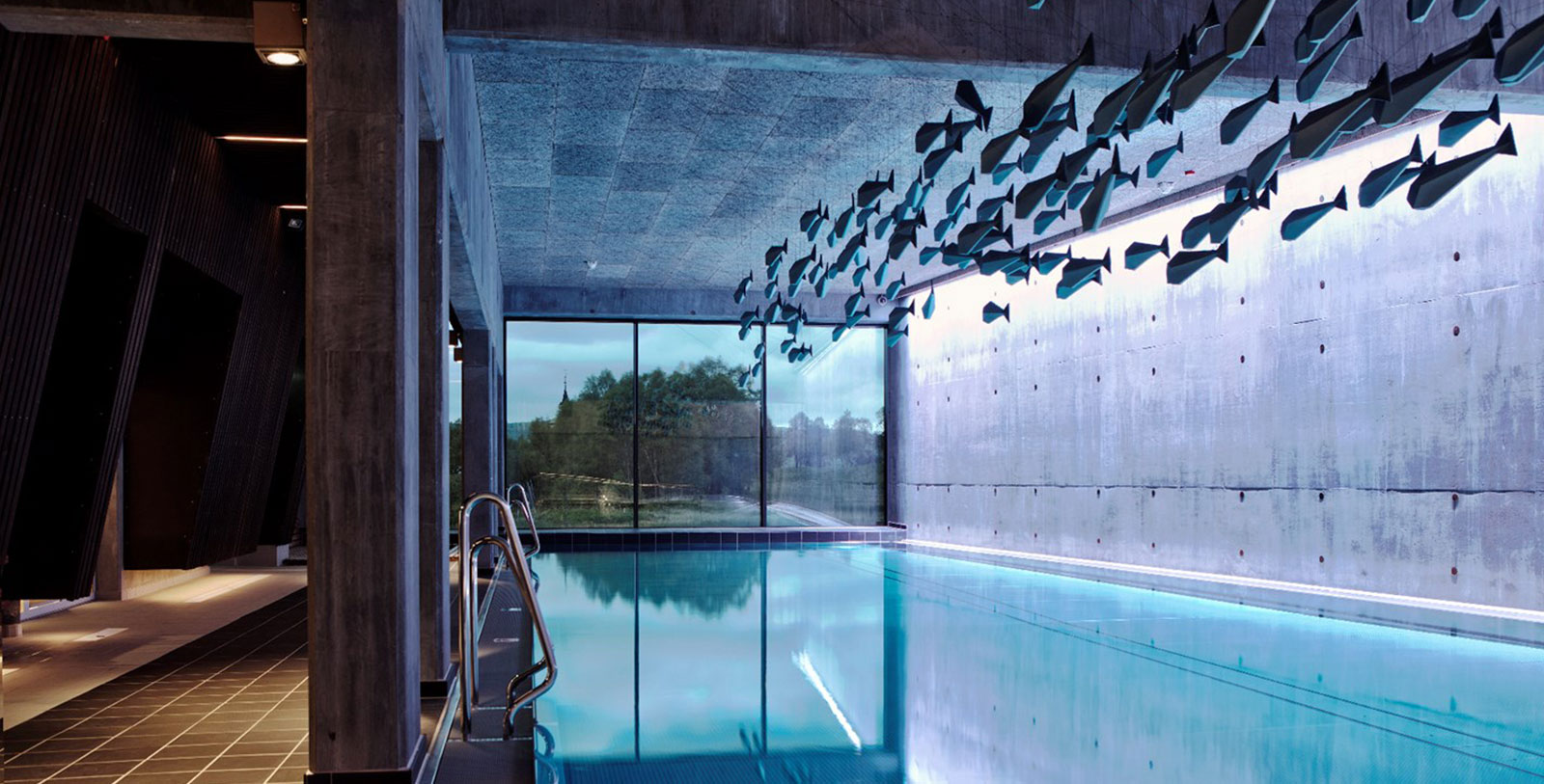a swimming pool with fish from the ceiling