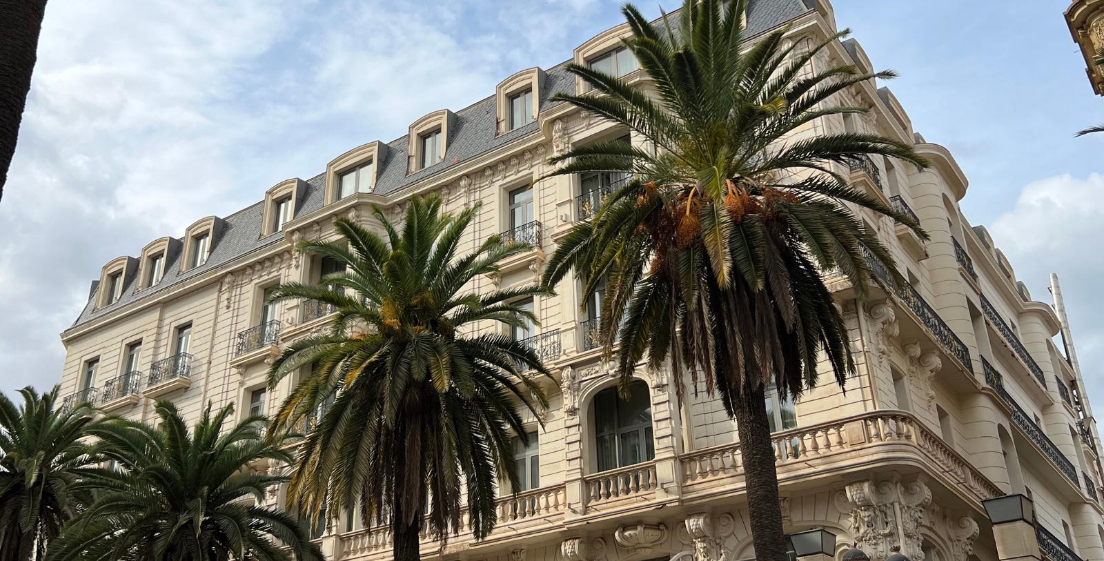 palm trees in front of a building