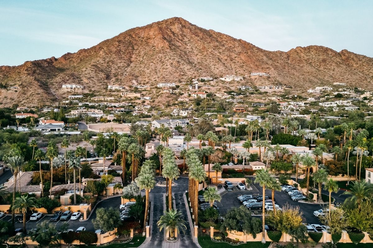 a palm trees and a mountain
