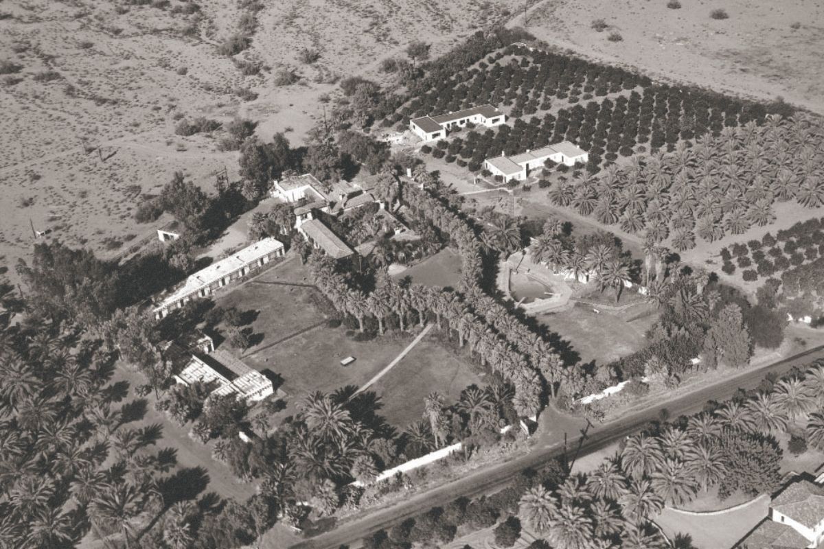 an aerial view of a plantation