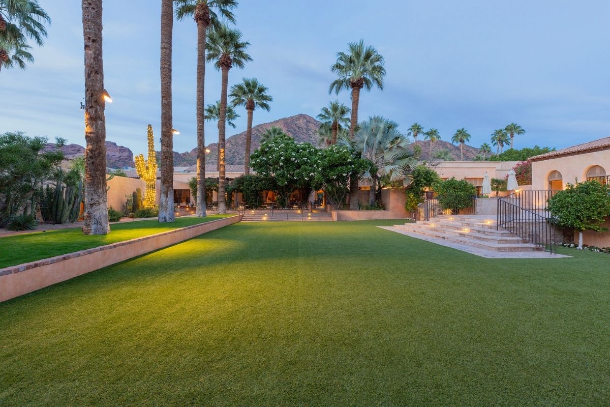 a green lawn with palm trees and stairs leading to a building