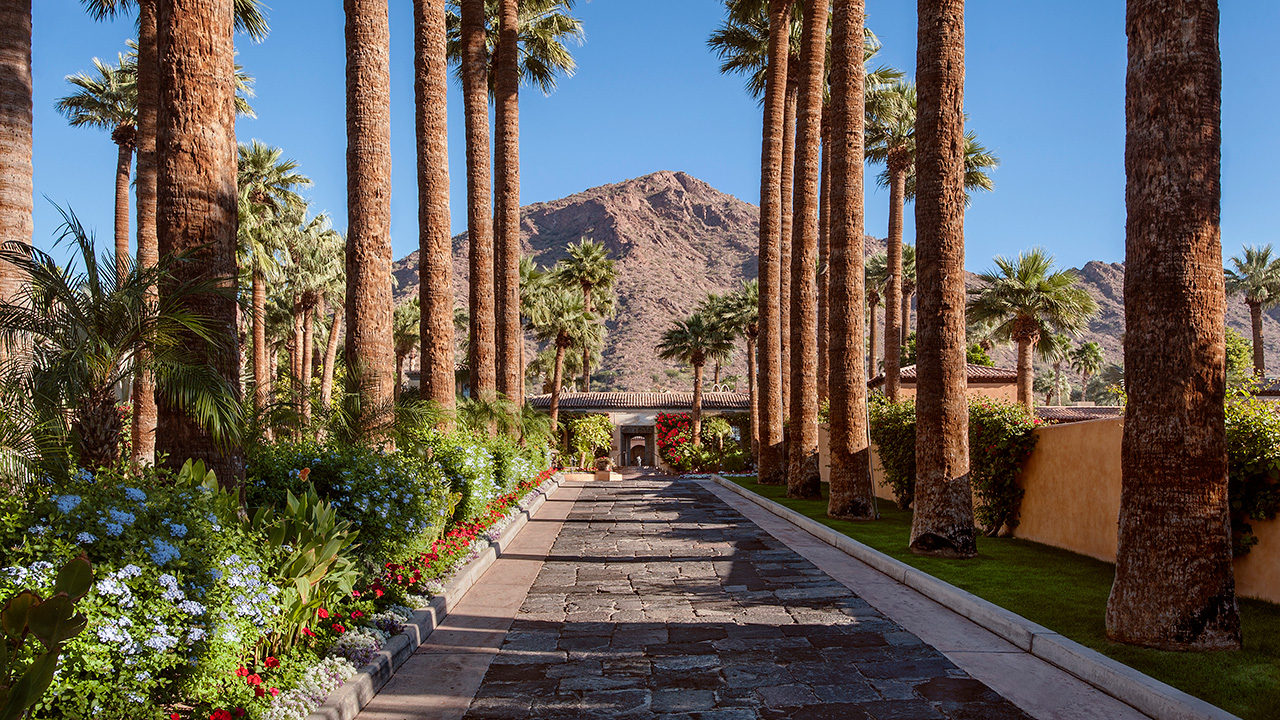 a walkway with palm trees and a mountain in the background