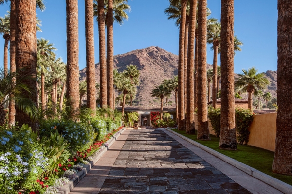 a path with palm trees and a mountain in the background