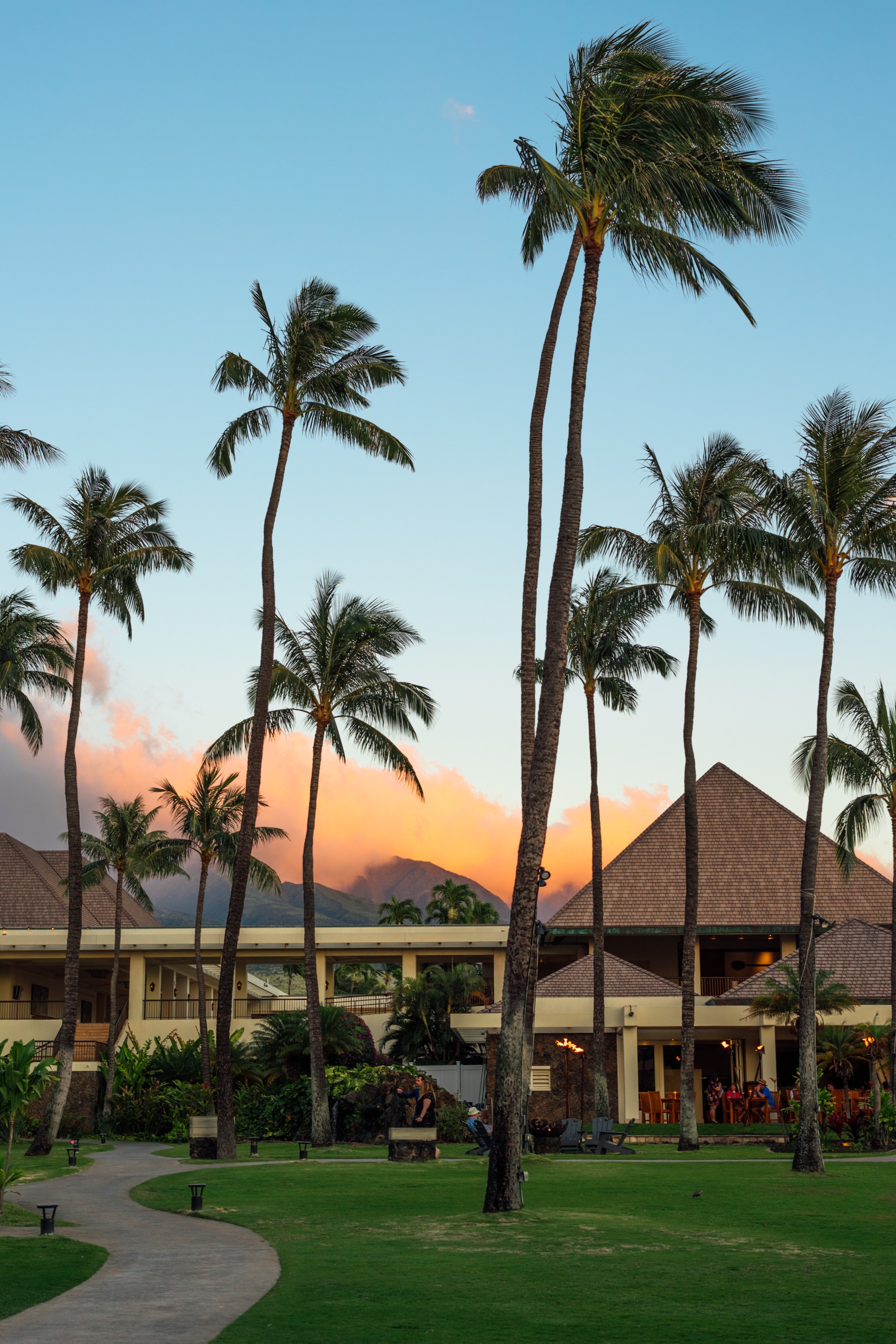 a building with palm trees and a sunset