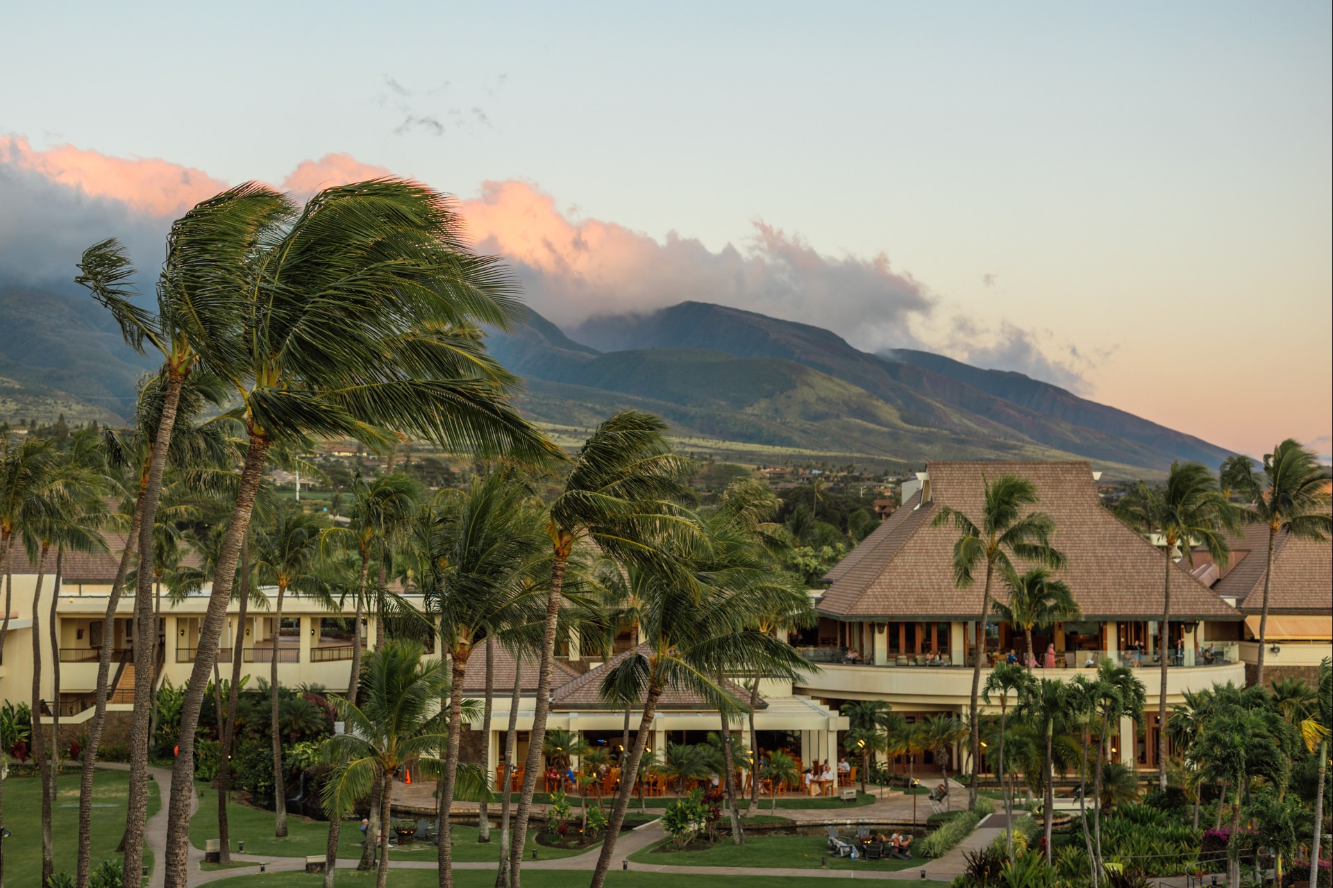 a building with palm trees and mountains in the background