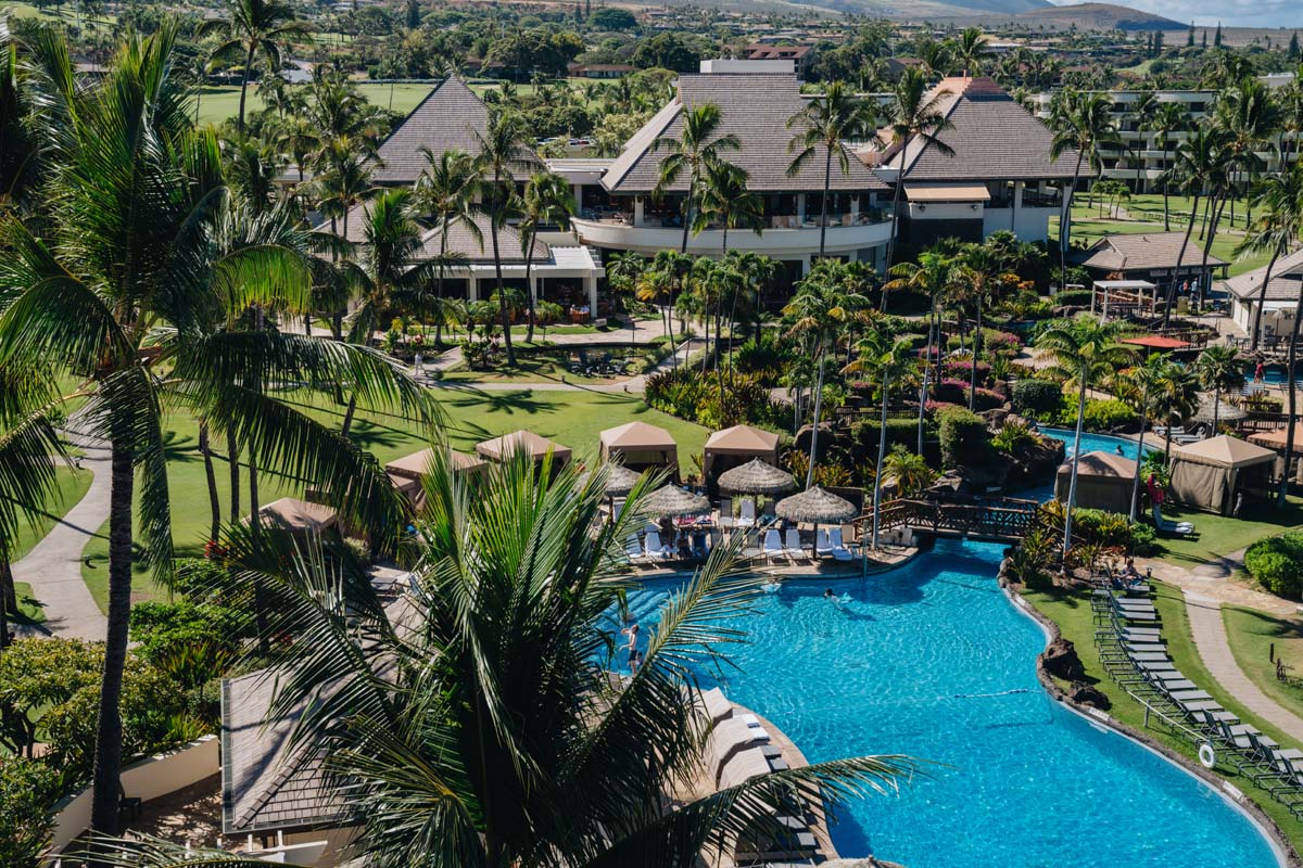 a swimming pool with palm trees and buildings
