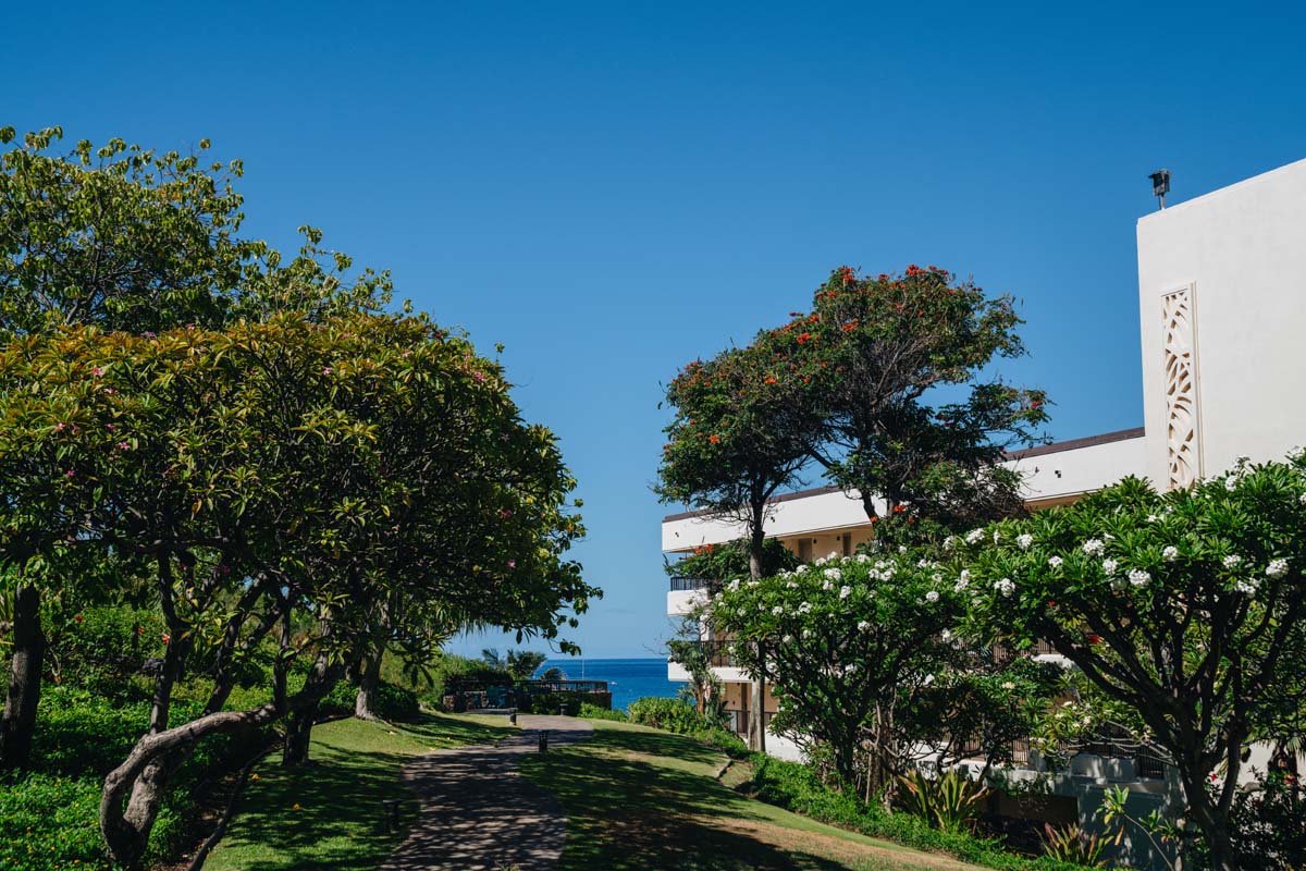 a building with trees and a path by the water