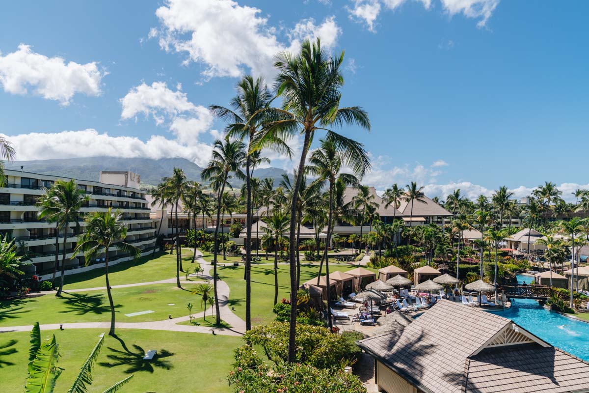 a resort with palm trees and a lawn