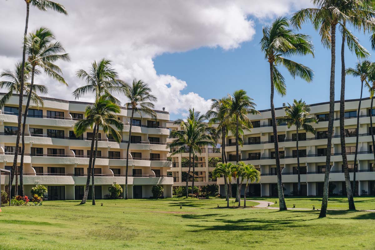 a building with palm trees in front of it