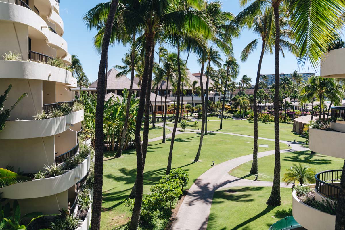a palm trees and a walkway in a resort
