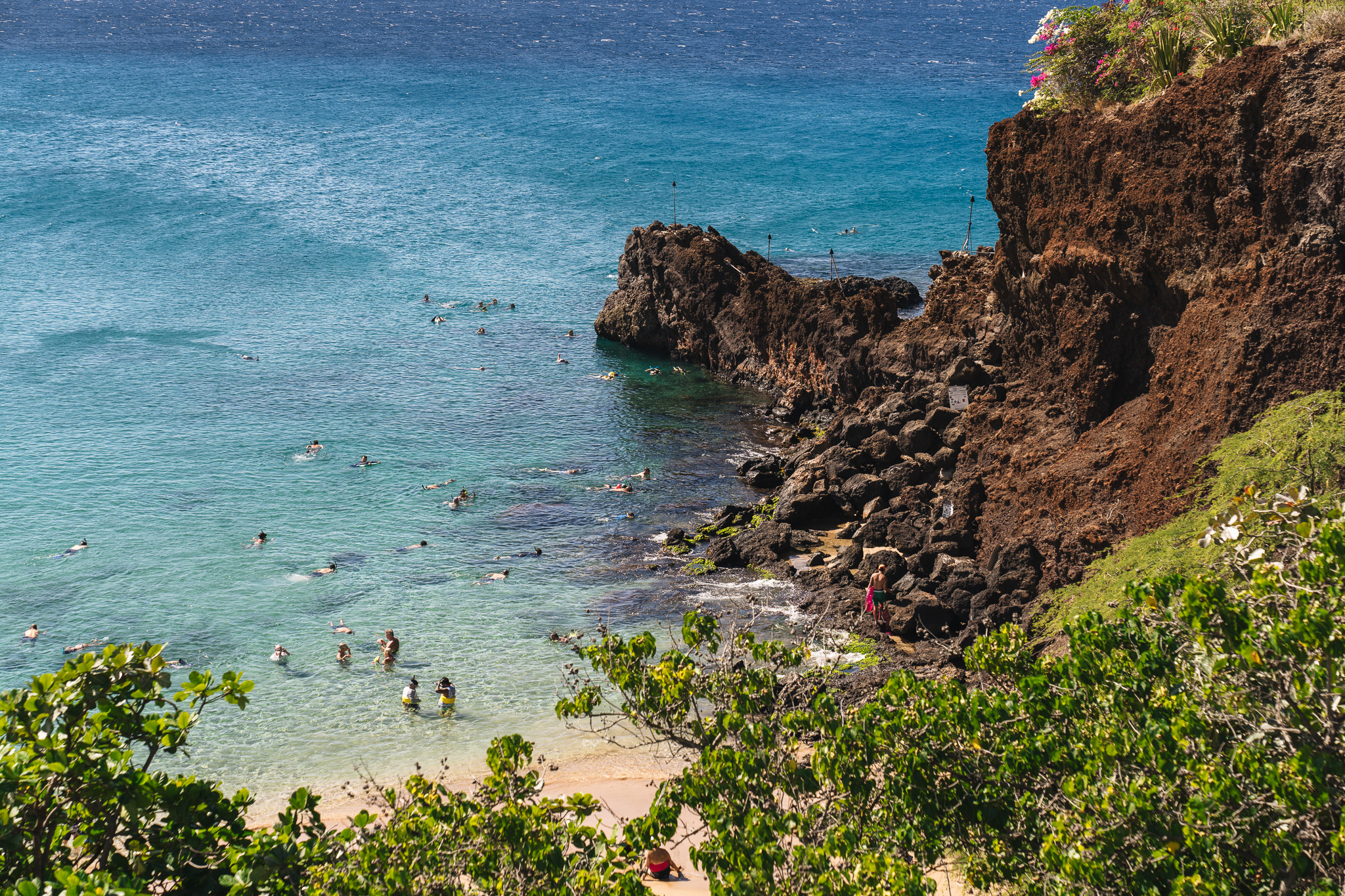 a group of people swimming in the water