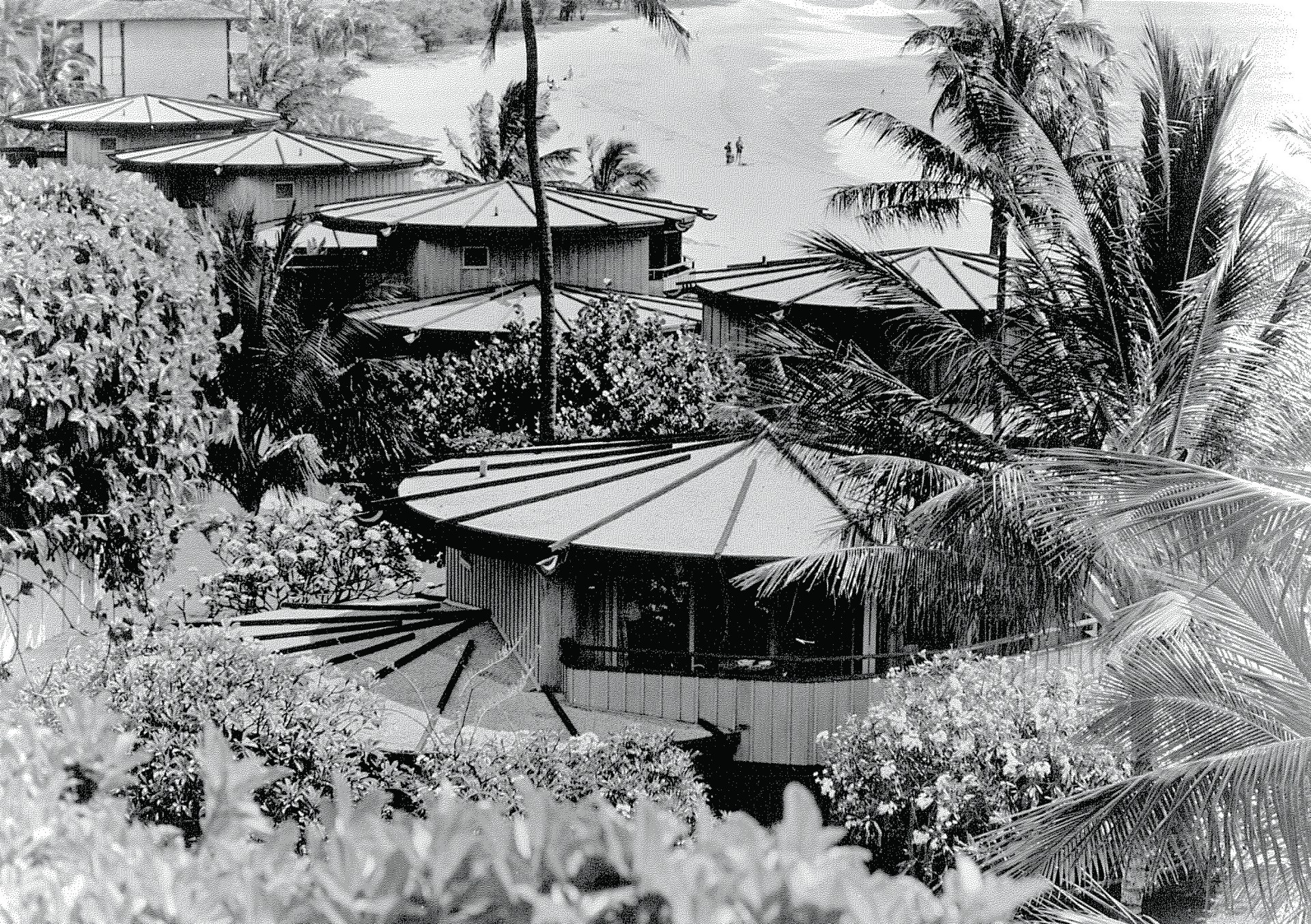 a group of houses with trees around them