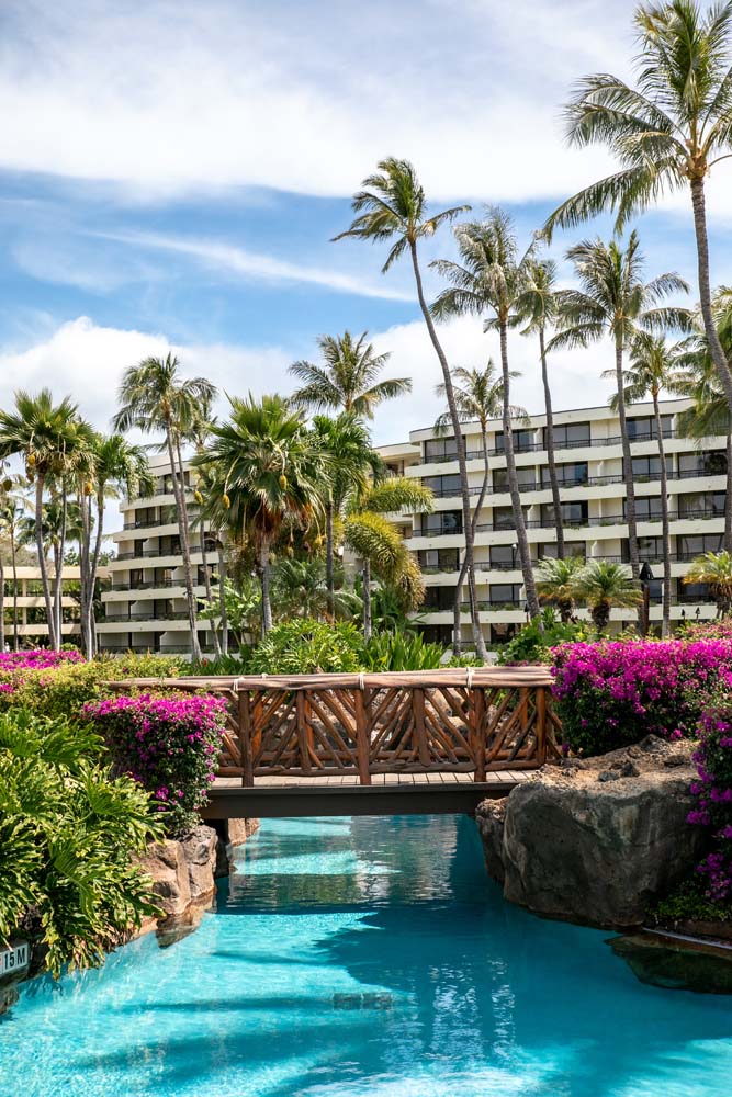 a bridge over a pool with palm trees and a building in the background
