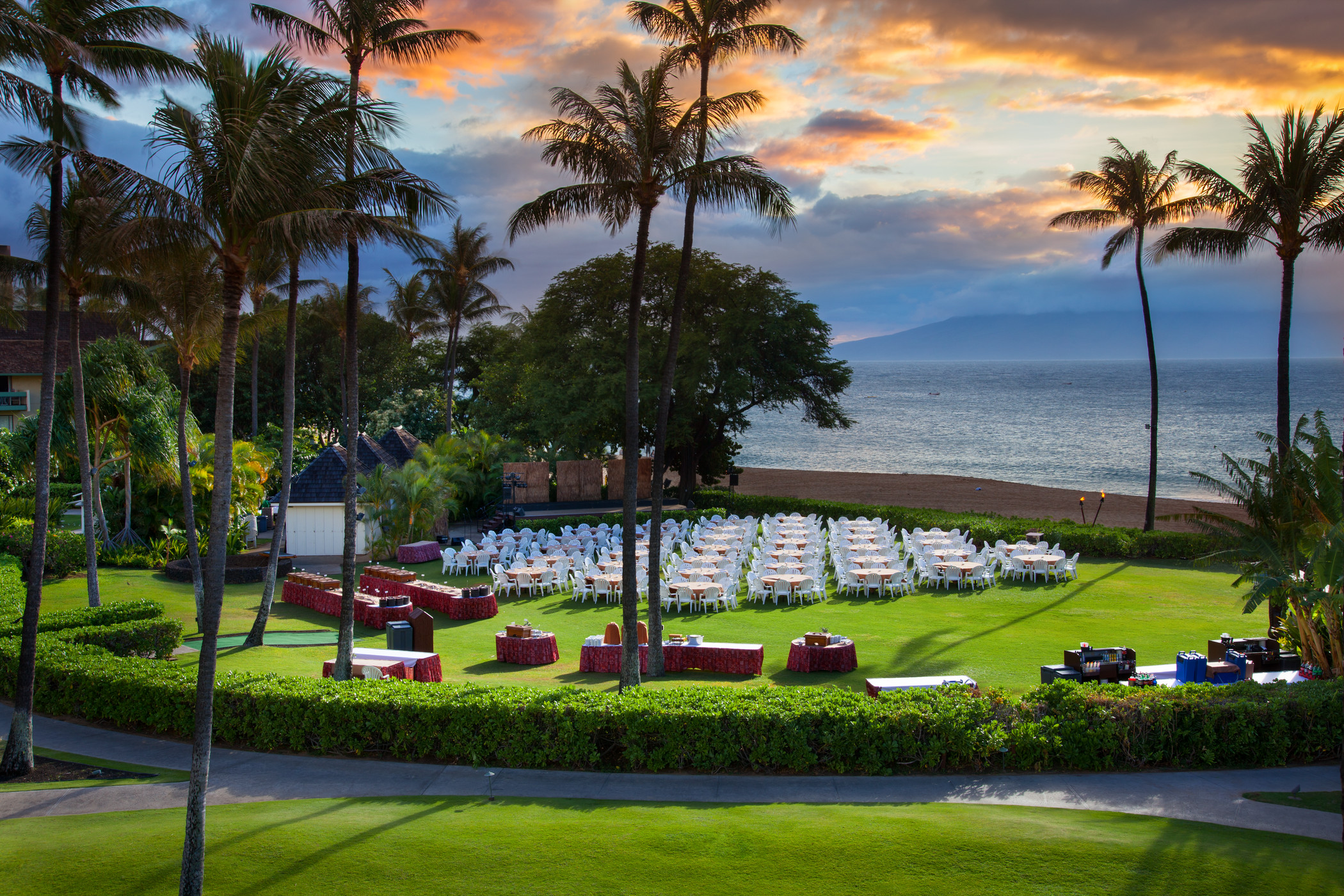 a large lawn with tables and chairs and palm trees