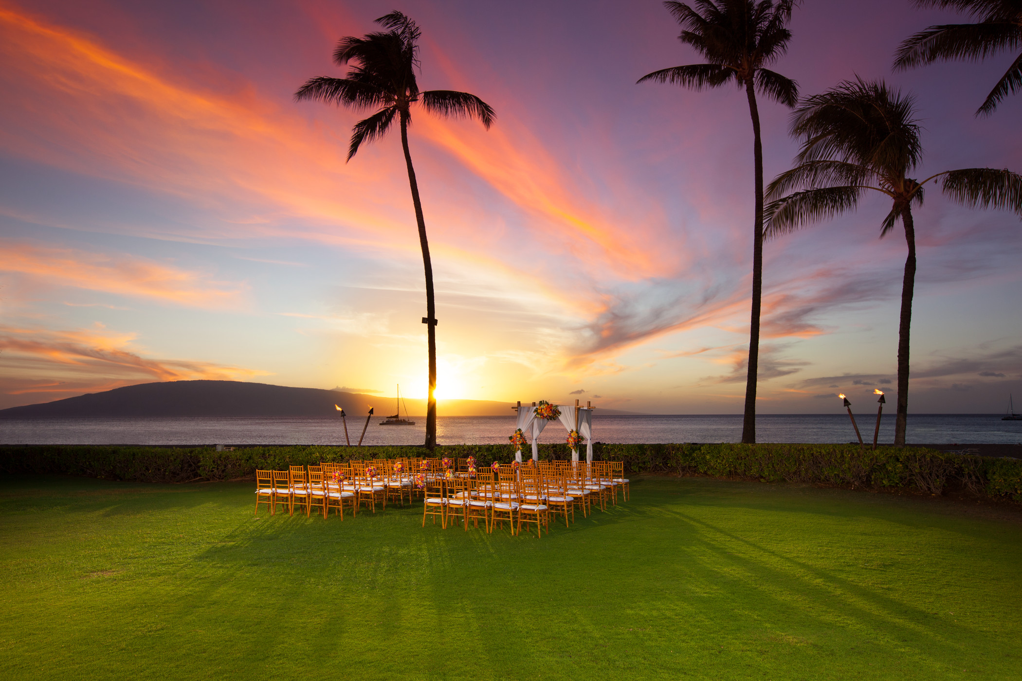 a group of chairs in a grass field with palm trees and a sunset
