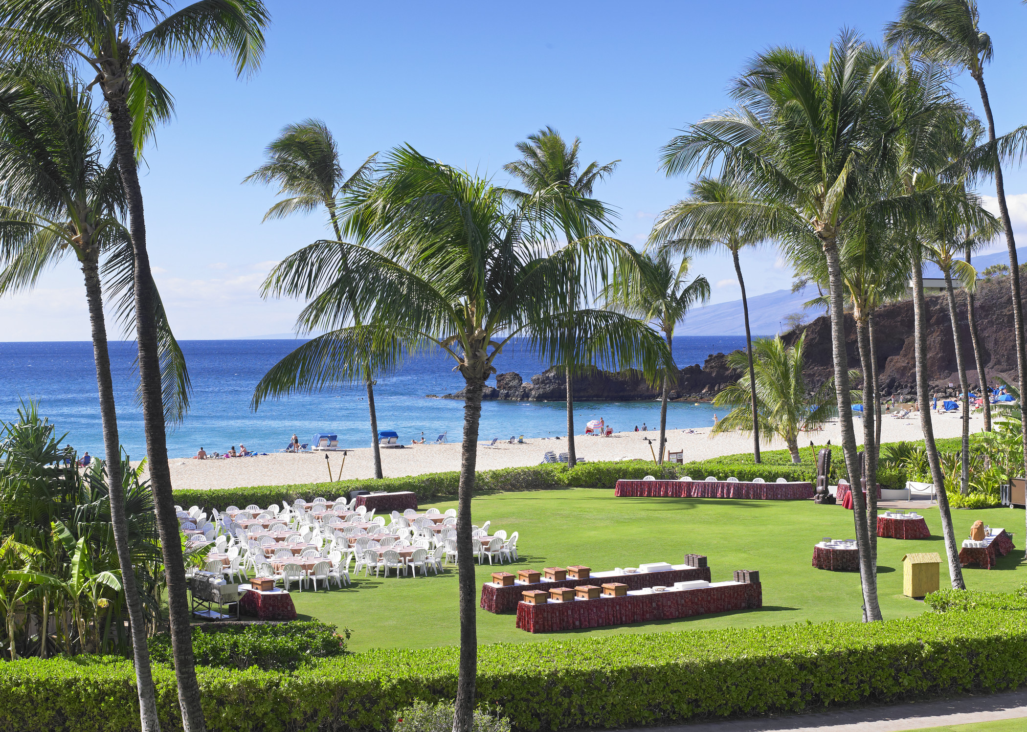a lawn with chairs and tables on it and palm trees on the beach