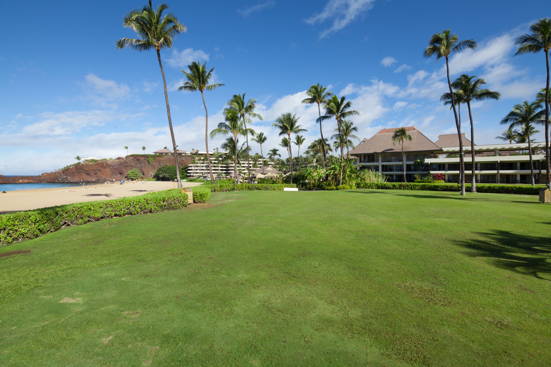 a large lawn with palm trees and buildings in the background