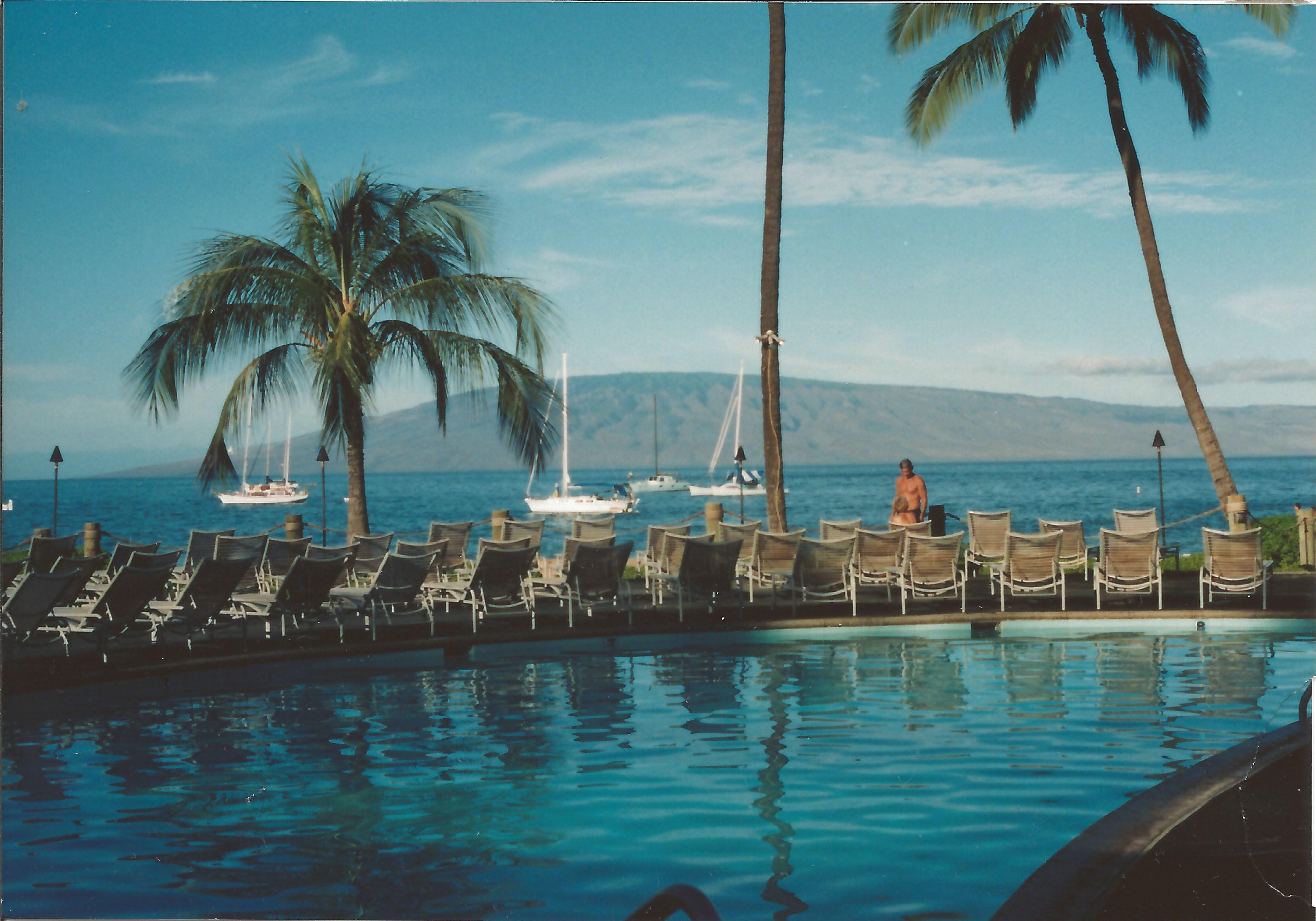 a pool with palm trees and a man sitting on it