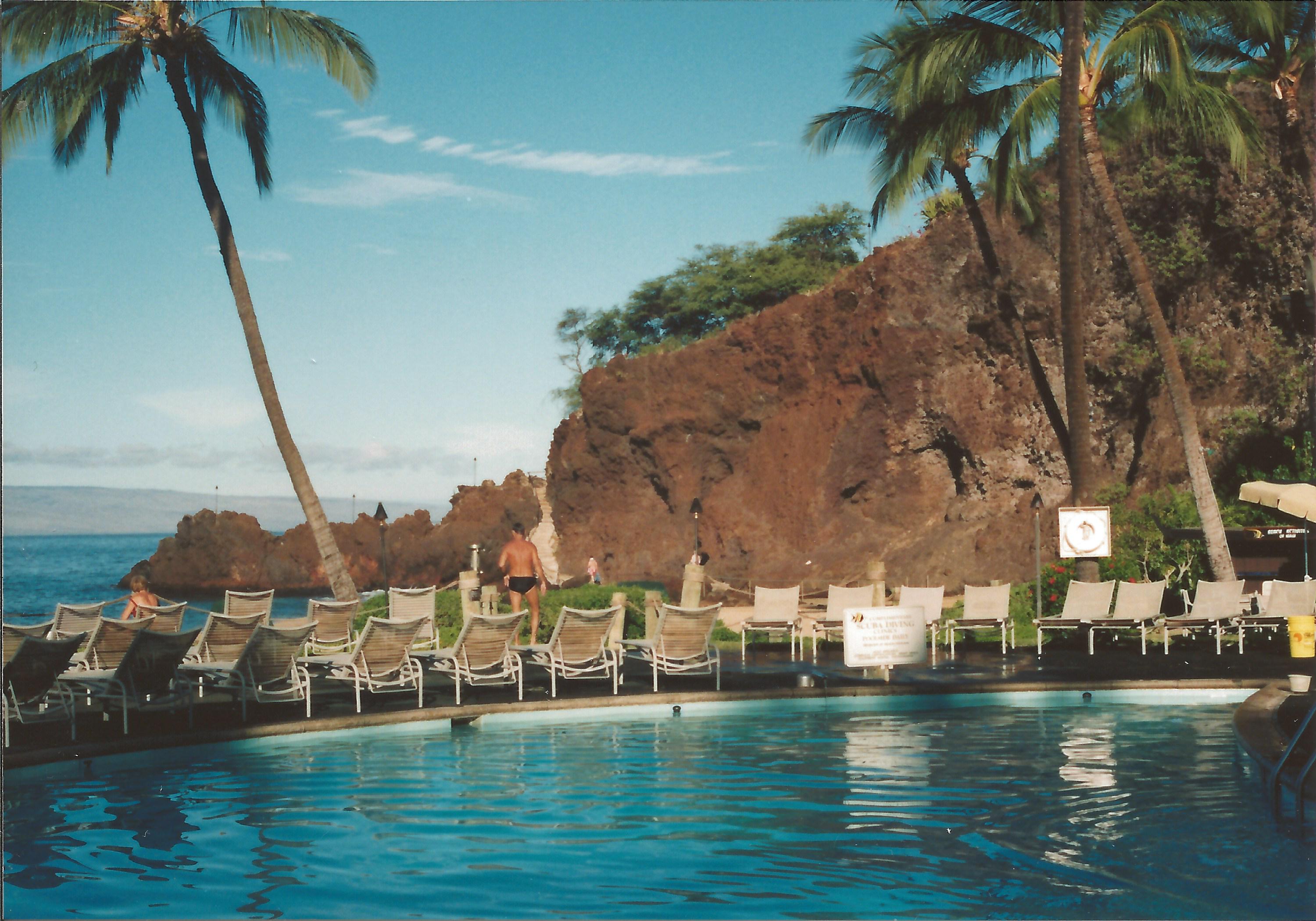 a pool with palm trees and people on it