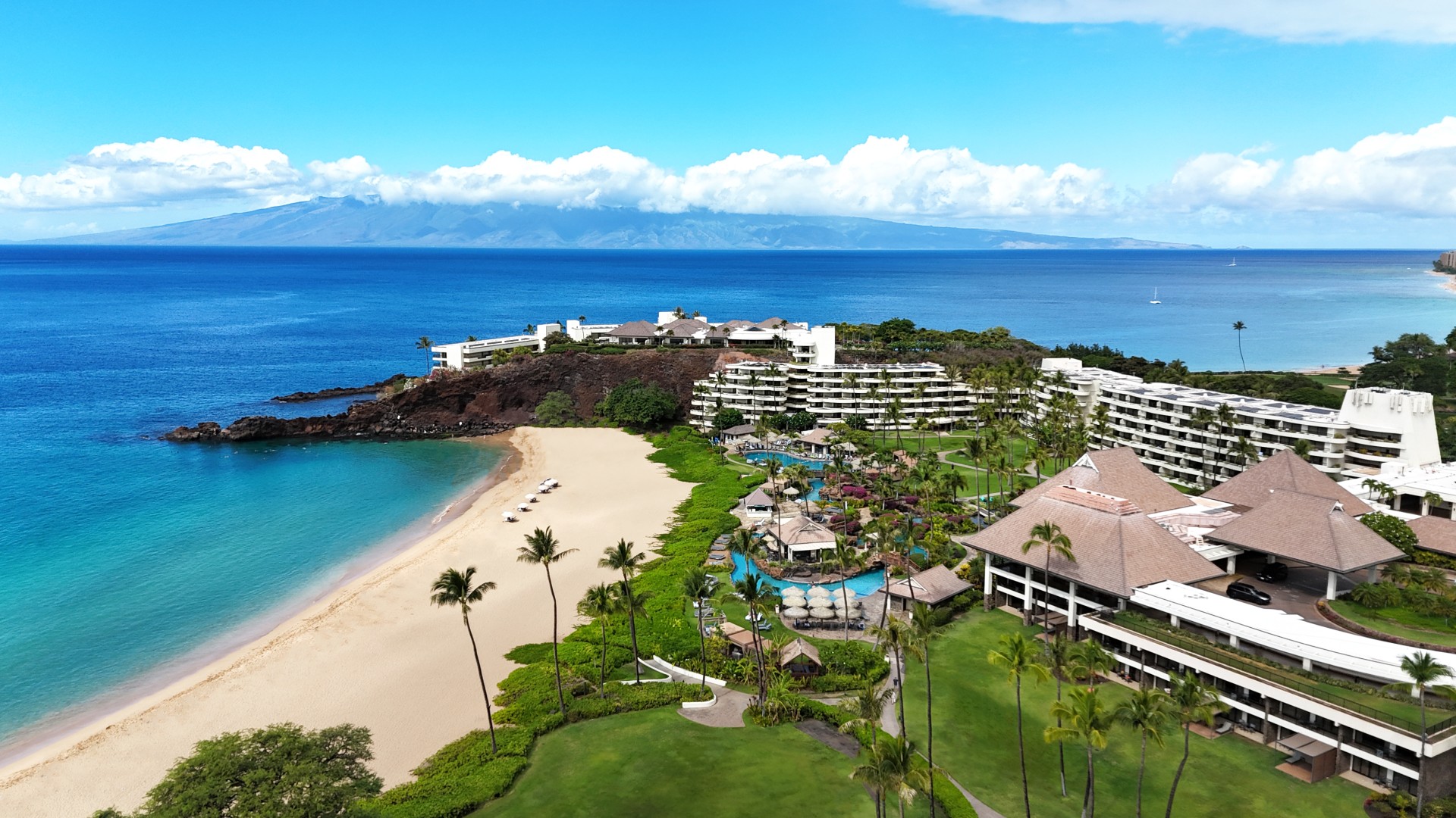 a beach with buildings and palm trees