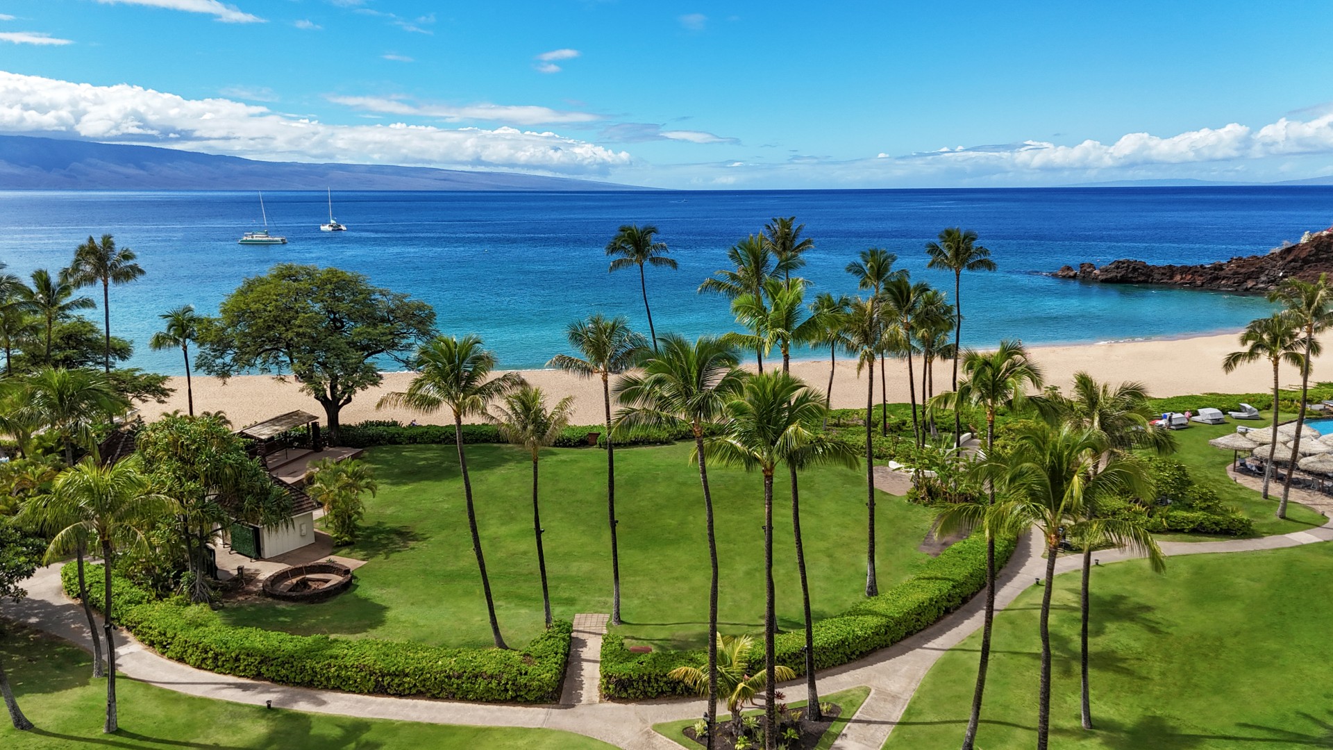 a palm trees and a beach