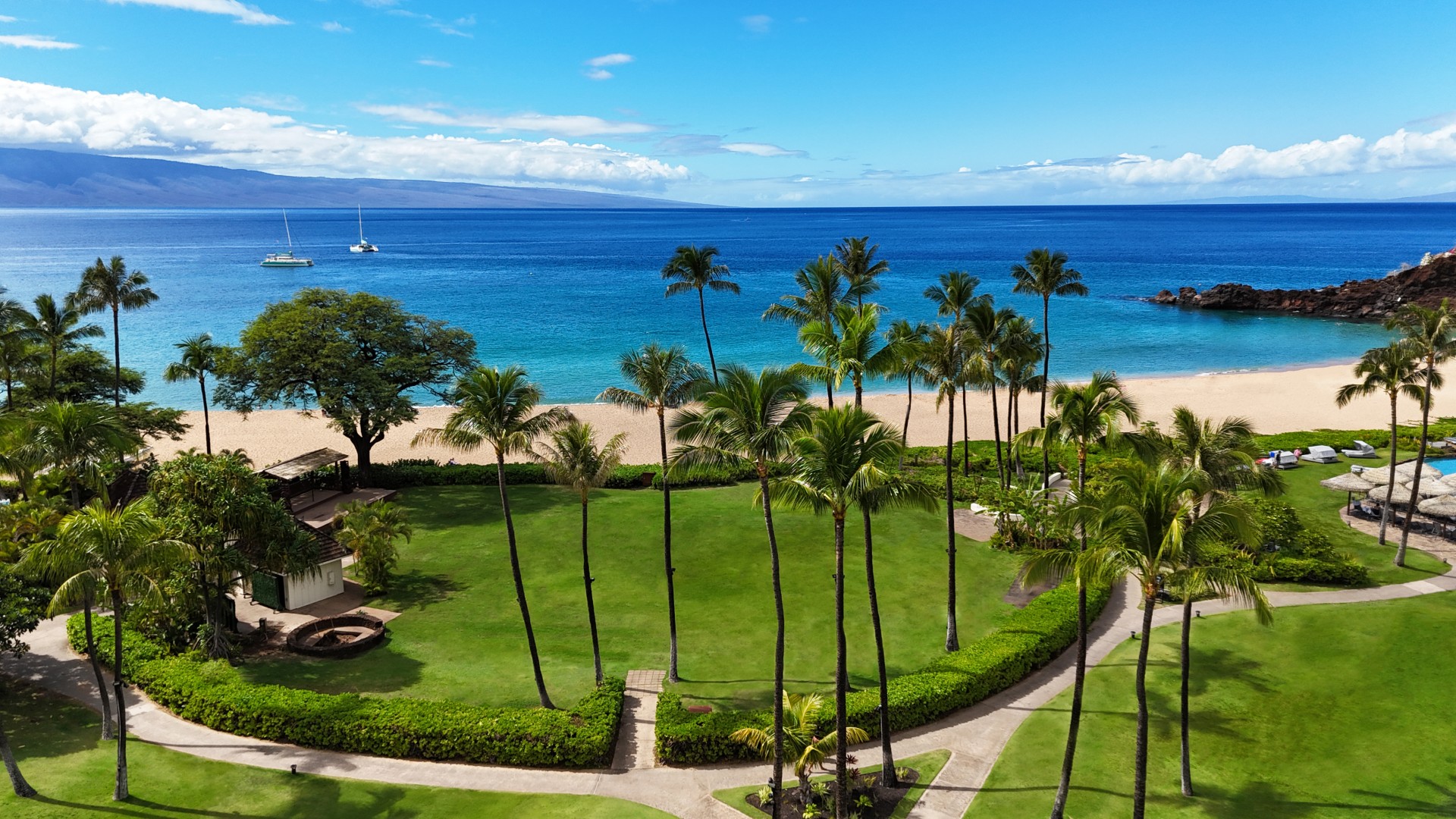 a palm trees and a beach